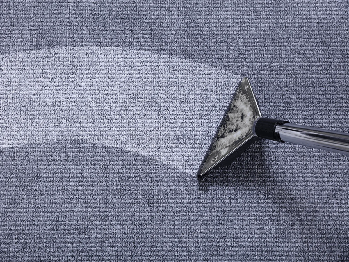 Remove dirt, stains and allergens from carpets & rugs