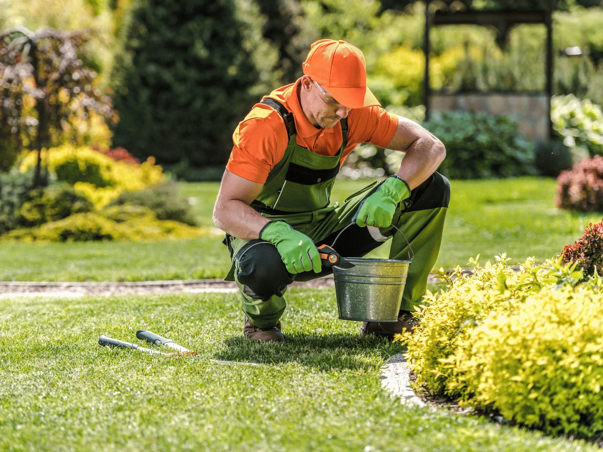 From lawn care to garden design, we help keep your outdoor space beautiful